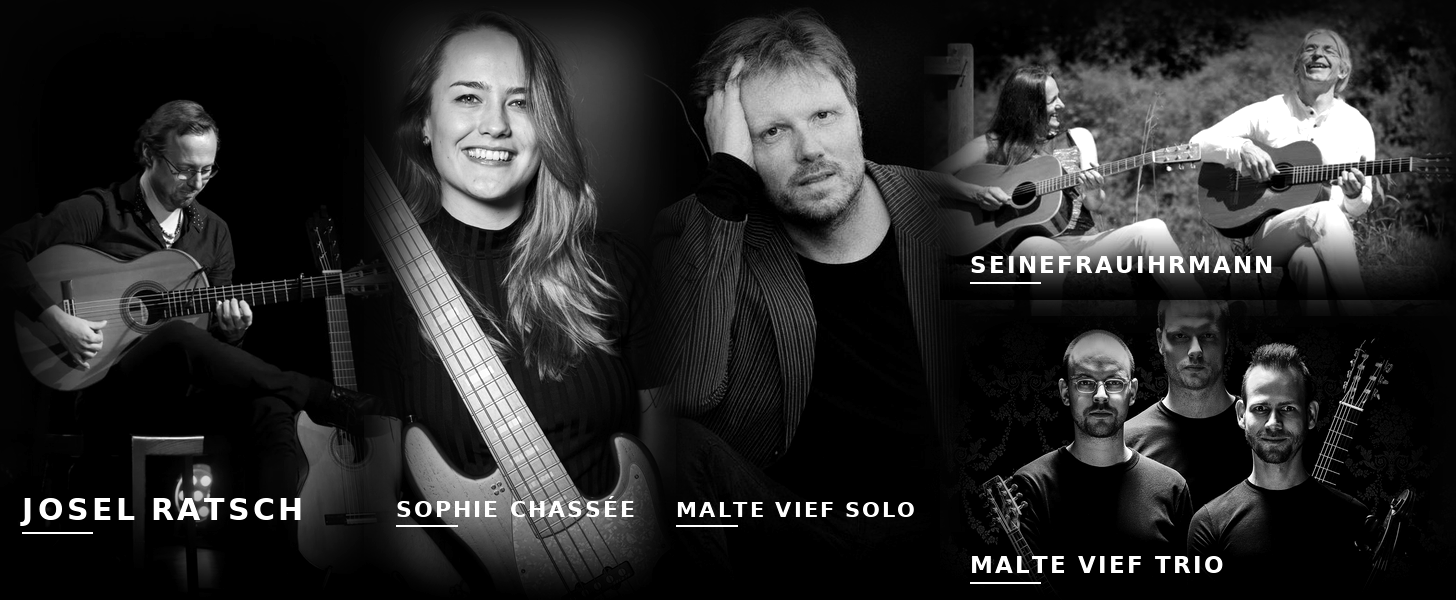 Josel Ratsch, Sophie Chassée, Malte Vief solo, Seinefrauihrmann, Malte Vief Trio